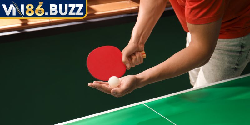 Thông tin khái quát về cá cược bóng bàn nhà cái 