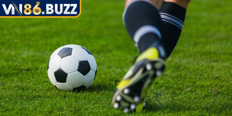 Thông tin khái quát về cách đọc kèo hòa ngoại trừ 