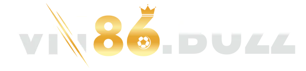 Logo Vn86